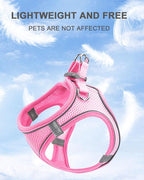 XS Orange Soft Mesh Dog Harness and Leash Set,No Escape Puppy Harnesses for Training Walking， Reflective Adjustable Puppy Vest for Small Medium Dogs, Cats (Orange, XS)