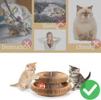 Magic Organ Cat Scratcher Board, Cat Ball Adventure The Ultimate Interactive Mental Physical Exercise for Indoor Cats Toy 2026