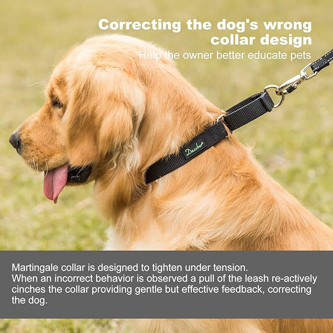 Martingale Dog Collar, Escape-Proof and No Slip Design, Heavy-Duty Nylon with Metal Buckle, Adjustable for Small, Medium & Large Dogs, Colorfast for Training, Daily Walks (Classic Black, M)