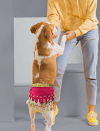 Dog Belly Dancer Costume - Puppy Outfit with Sequin Waist Chain & Hip-Shaking Skirt - Ideal for Corgi and Puppy Birthday Parties or Halloween Celebrations(Small,Rose Red)