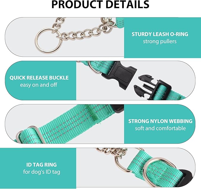 Martingale Dog Collar with Quick Release Buckle Steel Chain No Pull Training Reflective Collar for Medium Large Dogs(Teal, Large)