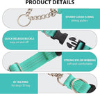 Martingale Dog Collar with Quick Release Buckle Steel Chain No Pull Training Reflective Collar for Medium Large Dogs(Teal, Large)