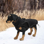 Geyecete Warm Waterproof Winter Dog Coat With Harness Traction Belt - Pet Outdoor Jacket for Autumn and Winter - Medium, Small Dogs - Black-M