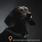2-in-1 Dog Training Collar with Remote & Automatic Bark Control, Beep Vibration & Safe Static Modes, 3300FT Range, Adjustable Sensitivity, Rechargeable, for Small Medium Large Dogs