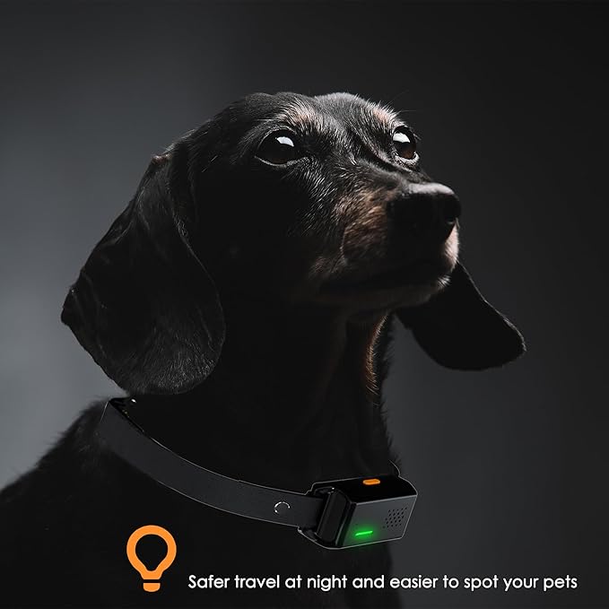 2-in-1 Dog Training Collar with Remote & Automatic Bark Control, Beep Vibration & Safe Static Modes, 3300FT Range, Adjustable Sensitivity, Rechargeable, for Small Medium Large Dogs