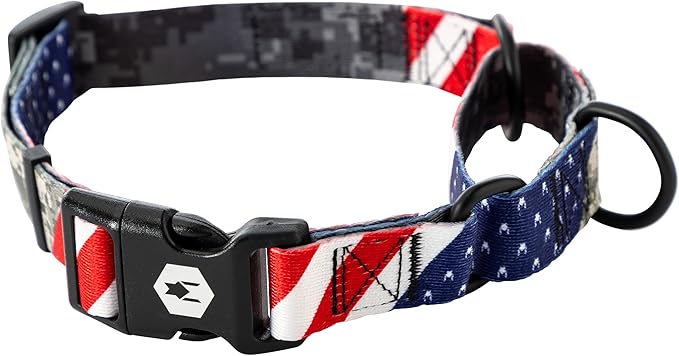 Wolfgang Heavy Duty Martingale Dog Collar with Quick Release Nylon Buckle for Walking & Training, DigitalDog Print, Extra Large