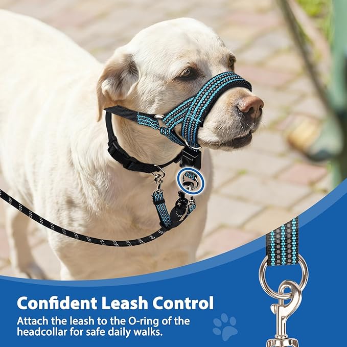 BARKLESS No Pull Dog Head Collar for Gentle Training Walking, Soft Padded Head Halter with Collar Safety Clip, Comfortable Fit Muzzle Leash with Reflective Strap for Medium Large Dog (Blue, M)