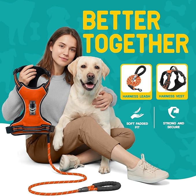 No Pull Dog Harness and Leash Set for Large Dogs – Adjustable Reflective Breathable Soft Padded Easy Control Dog Harness for Training & Walking, Orange (Large)