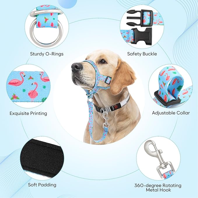 HIGO Dog Head Collar, Adjustable Head Collar for Dogs, No Pulling Head Halter, Training Nose Leash, 3 Pattern Muzzle Leash for Small Medium Large Dogs Easy Walking (Blue, S)