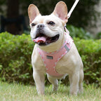 Mercano Soft Mesh Dog Harness and Leash Set, No-Chock Step-in Reflective Breathable Lightweight Easy Walk Vest Harnesses with Safety Buckle for Small Dogs, Cats (Pink, L)