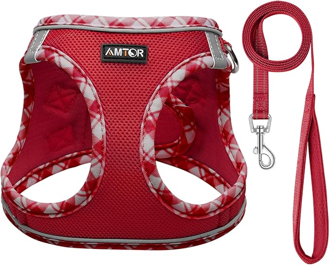 AMTOR Small Dog Harness with Leash Set, No Escape Easy Walk Puppy Harnesses for Training Walking, Step-in Reflective Soft Dogs Vest for XS S Medium Extra-Small Large Sized Dog(XXS Size,Red/White)