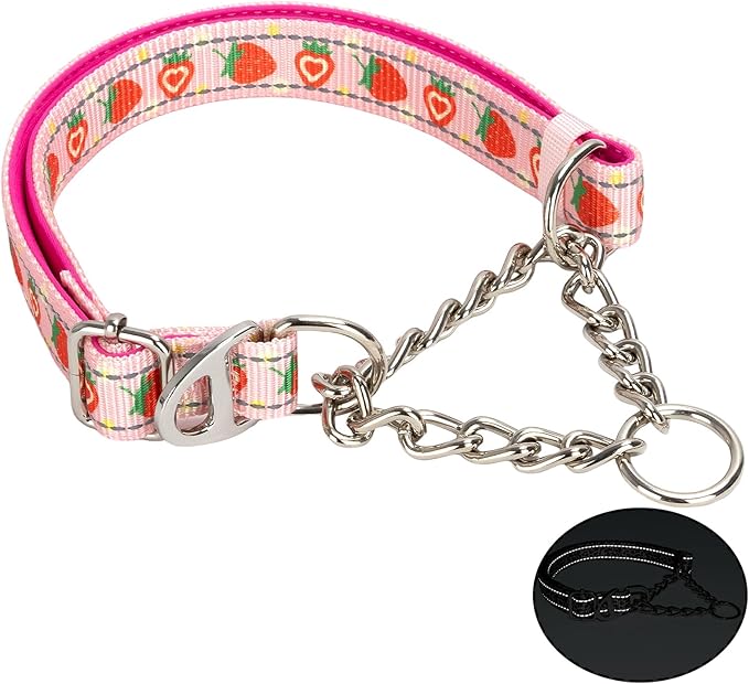 Strawberry Martingale Dog Collar with Chain -Reflective No-Pull Dog Collar, Adjustable Choker Collar for Medium,Large & XL Dogs (Large)