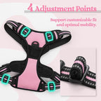 rabbitgoo Dog Harness No Pull with 2 Leash Clips, Adjustable Soft Padded, Reflective Oxford No Choke Pet Vest with Easy Control Handle for Small Dogs, Pink, S