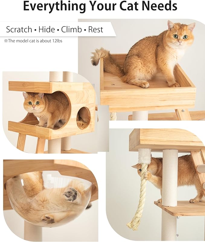 Wood Cat Tree for Large Cat, 62-Inch Tall Cat Tower with Scratching Post for Indoor Cats, Multi-Level Cat Condo with Hand-Woven Cat Bed and Acrylic Bowl Easy to Clean