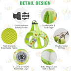 BEAUTYZOO Step in Dog Harness and Leash Set,Reflective Dog Harness No Pull No Choke Puppy Harness for Small Medium Large Dogs Cats,Soft Padded Mesh Vest Harnesses for Girl and Boy Pets, Bee S