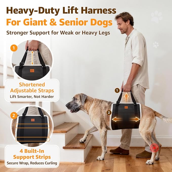 Adjustable Dog Lift Harness Dog Sling for Large Dogs Hind Leg Support Soft Lift Support and Rehab Harness for Weak Rear Legs, Helps Senior, Injured, Disabled, After ACL Surgery Dogs (Black, XX-Large)