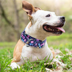 Wide 1.5 Girl Martingale Collar for Dogs,No Pull Heavy Duty Floral Dog Collar for Medium Large Extra Large Female Dogs L