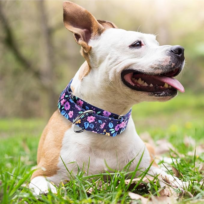 Wide 1.5 Girl Martingale Collar for Dogs,No Pull Heavy Duty Floral Dog Collar for Medium Large Extra Large Female Dogs L