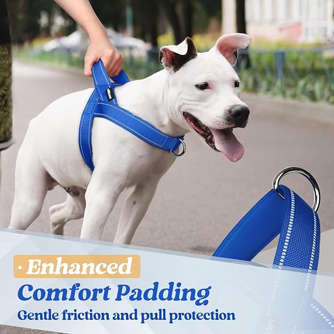 rabbitgoo Dog Harness No Pull, Quick Fit for Medium Sized Dog with Soft Padded Handle, Chest Adjustable Reflective Pet Vest, No Choke Escape Proof for Walking Training, Blue M