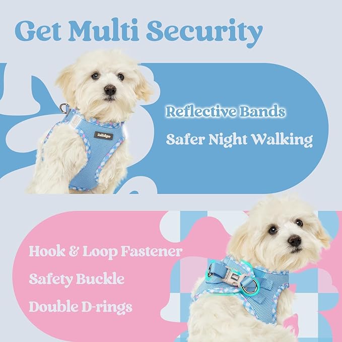 rabbitgoo Small Dog Harness, Step-in Soft Mesh Puppy Vest with Safety Buckle, Breathable Reflective Pet Harness for Small Medium Dogs, Blue & Plaid Trim L