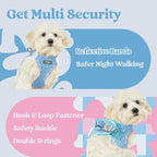rabbitgoo Small Dog Harness, Step-in Soft Mesh Puppy Vest with Safety Buckle, Breathable Reflective Pet Harness for Extra Small Dogs, Blue & Plaid Trim XXS