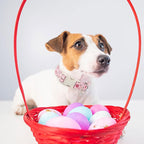 ARING PET Easter Eggs Dog Collar, Cute Adjustable Pink Striped Pet Collar with Quick Release Buckle for Dogs-S