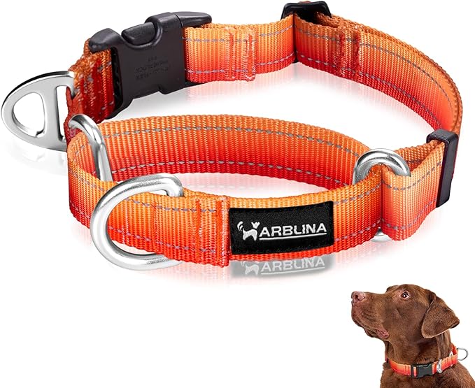 Martingale Collar for Dogs Large Medium Small Heavy Duty Buckle Dog Collar with Tag Ring Reflective Nylon Gradient Dog Collar No Pull Training Collar
