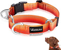 Martingale Collar for Dogs Large Medium Small Heavy Duty Buckle Dog Collar with Tag Ring Reflective Nylon Gradient Dog Collar No Pull Training Collar