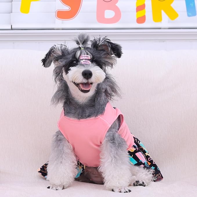 CuteBone Birthday Dog Dresses Velvet Holiday Small Dogs Clothes Onesie Pet Apparel Girl Puppy Skirt with Bow Hair Rope CVA48S-D