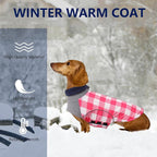Dog Winter Coat,Dachshund Clothes,Waterproof Miniature Dachshund Jacket,Small Dogs Coat with Harness Hole,Dachshund Jumper with Turtle Neck,Pet Dog Clothes British Style-Pink Plaid-XS