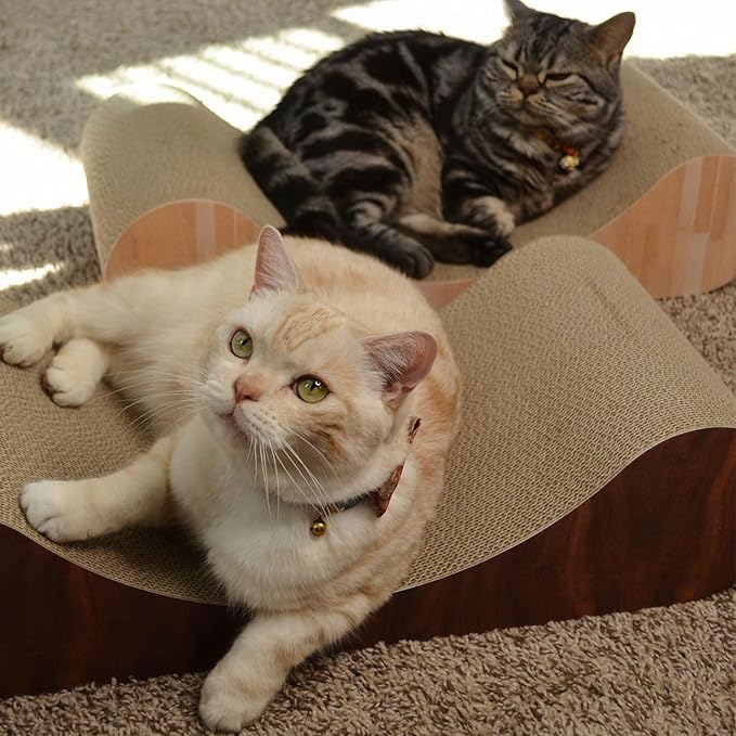 Necoichi Cardboard Cat Scratcher Bed for Indoor Cats - Cat Scratching Board, Horizontal Cat Scratch Pad Lounger with Reversible Usability and Extra Comfort for Lounge, Curved (23" Large, Dark Cherry)
