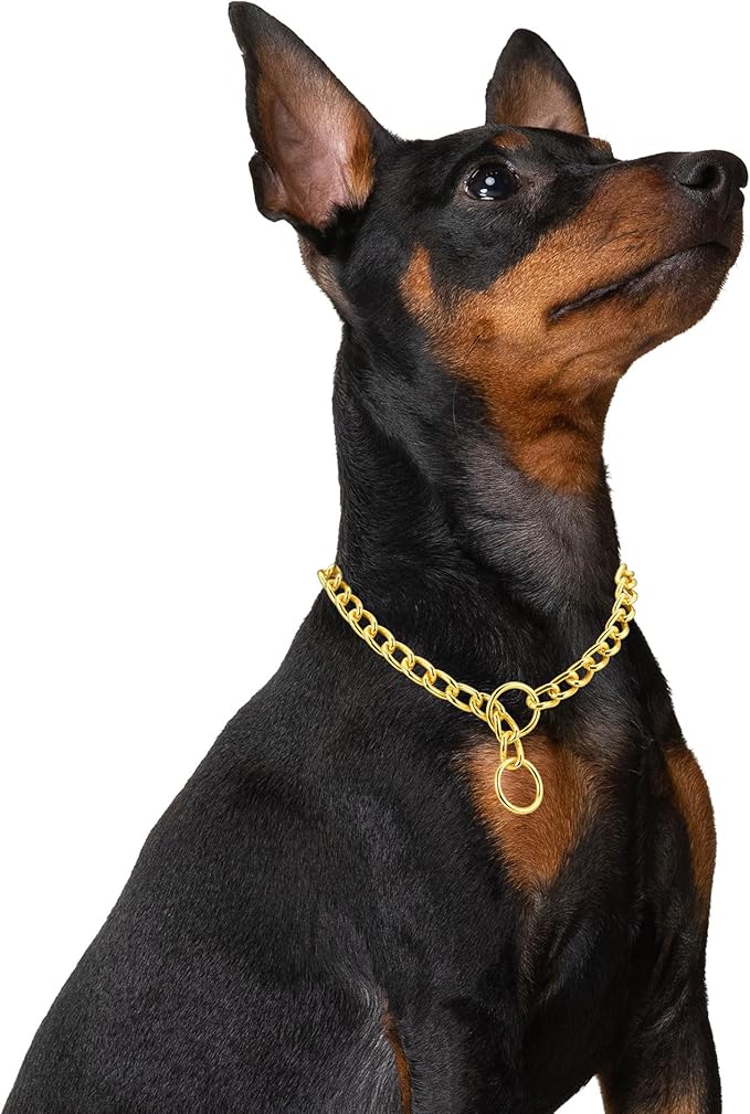 Mogoko Stainless Steel Dog Choke Chain Collar, Puppy Metal P Chain Slip Collar Pet Training Walking Choker(Gold; 3.0mm;20.0 Inch)