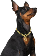 Mogoko Stainless Steel Dog Choke Chain Collar, Puppy Metal P Chain Slip Collar Pet Training Walking Choker(Gold; 3.0mm;20.0 Inch)