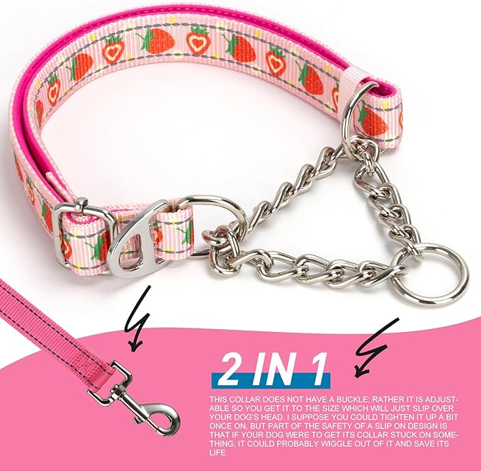 Strawberry Martingale Dog Collar - Reflective No-Pull Training Collar with Adjustable Chain for Medium, Large, XL Dogs, Cute Fruit Design XL