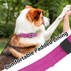 Tactical Dog Collar with Handle, Military Adjustable Heavy Duty Metal Buckle Dog Collars Soft Nylon Training Collar for Medium Large Dogs (Pink, Large)