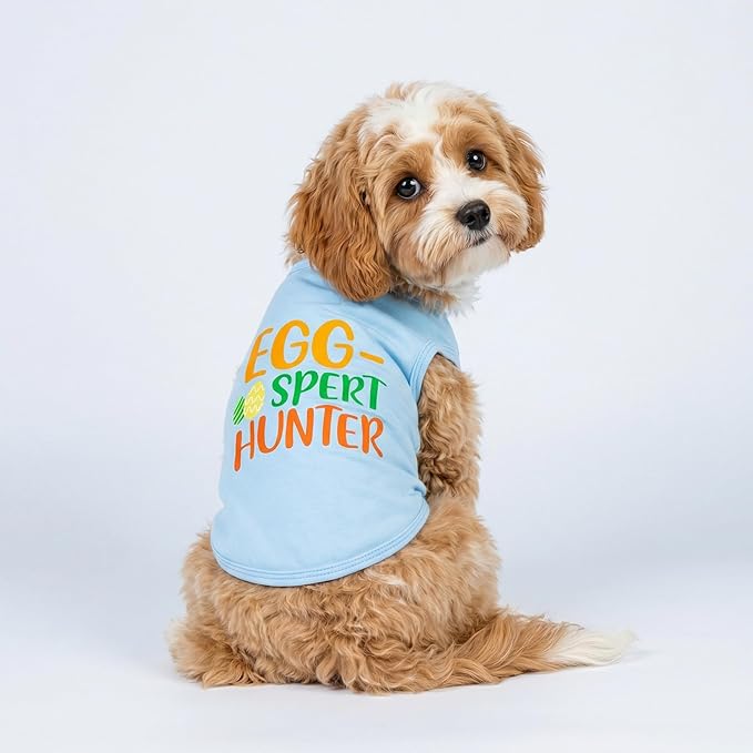 Fitwarm Egg-spert Hunter Dog Easter Outfit, Summer Clothes for Small Dogs Boy Girl, Pet Outfit, Blue, Red, Green, Orange, Small