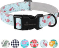 ARING PET Summer Dog Collar, Cute Flamingo Adjustable Lightweight Cotton Pet Collars for Small Medium Large Boy and Girl Dogs, X-Small