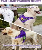 AUROTH Dog Harness and Leash Set, Soft Padded Service Dog Vest with 5.25FT Dog Leash, No Choke, Easy On Pet Vest, Adjustable Reflective No Pull Dog Harness Small Sized Dog, Easy Walking and Training