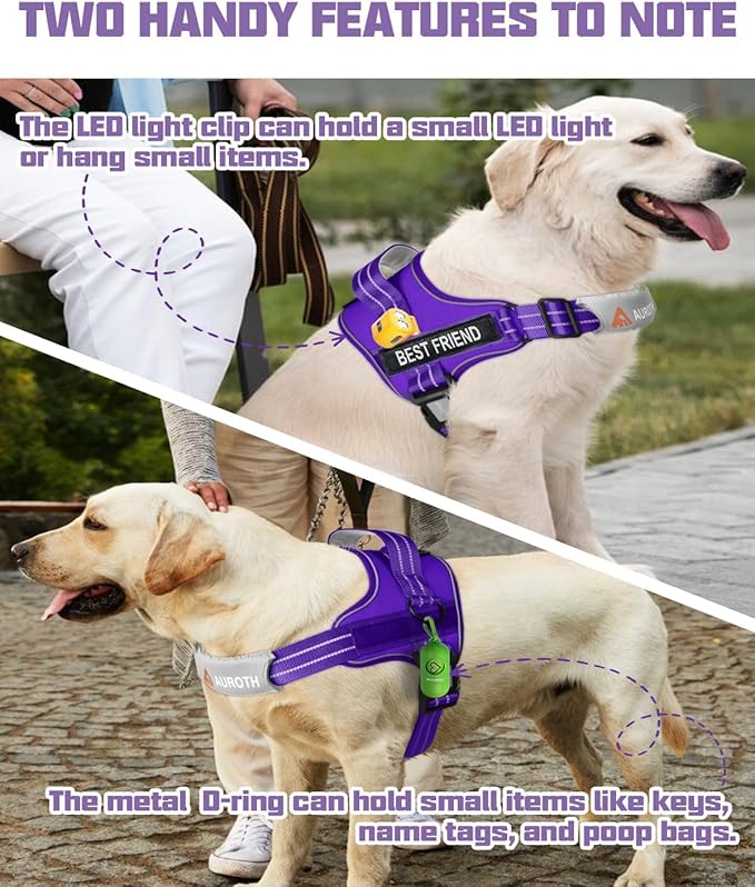 AUROTH Dog Harness and Leash Set, Soft Padded Service Dog Vest with 5.25FT Dog Leash, No Choke, Easy On Pet Vest, Adjustable Reflective No Pull Dog Harness Small Sized Dog, Easy Walking and Training