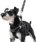 PUPTECK Dog Harness and Leash Set for Small Medium Dogs No Pull Step-in Soft Mesh Puppy Cat Vest Harnesses Reflective at Night, Black S