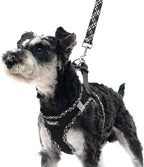 PUPTECK Dog Harness and Leash Set for Small Medium Dogs No Pull Step-in Soft Mesh Puppy Cat Vest Harnesses Reflective at Night, Black S