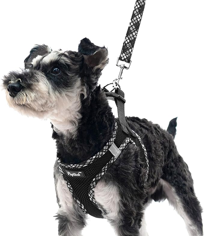 PUPTECK Dog Harness and Leash Set for Small Medium Dogs No Pull Step-in Soft Mesh Puppy Cat Vest Harnesses Reflective at Night, Black L