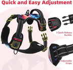 PUPTECK No Pull Tactical Dog Harness Medium Sized, Adjustable Reflective Dog Harness with Handle Easy Control, Comfortable Soft Padded Pet Vest Harness for Medium Dogs, Aurora M