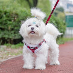 PUPTECK Dog Harness and Leash Set Small Sized, Step in No Pull Adjustable Puppy Cat Harness Reflective Pet Vest