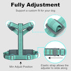 Plutus Pet No Pull Dog Harness, Adjustable Nylon Harness with Soft Padding, Reflective and Heavy Duty Dog Harness for Small, Medium, Large Dogs(Teal, L)