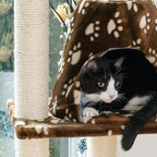 Cat Hammock Bed - Natural Sisal Tree Condo for Cats - Soft Plush Perch, Play Tube - Up to 50 lbs