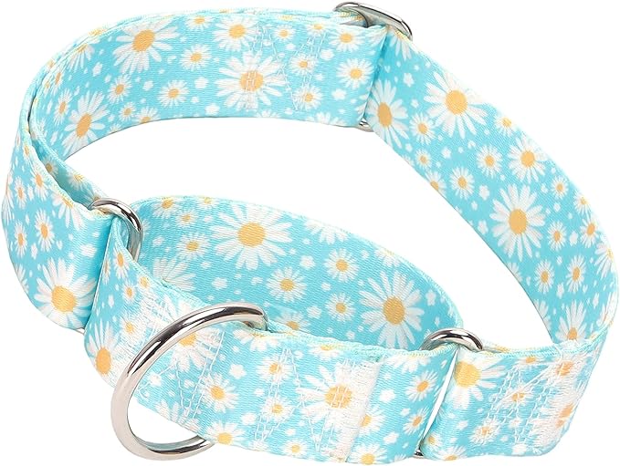 1.5 Inches Wide Martingale Dog Collar, Heavy Duty Adjustable Collar with Rwith Blue Daisy Floral Design, Military Grade Strong Dog Collar for Large/X-Large Breeds (XL)