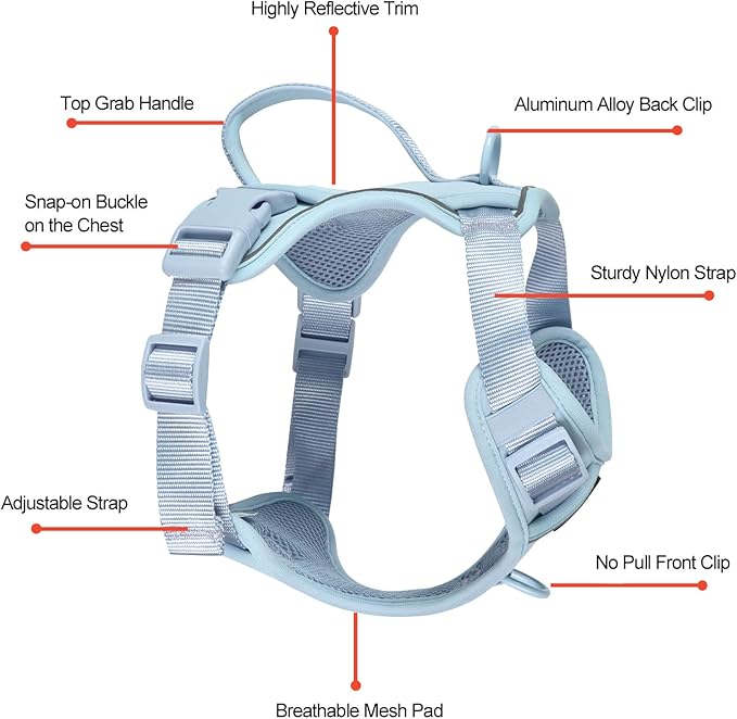 Petmolico Dog Harness for Small Dogs, Cute Harness Vest with Two Leash Clips and Soft Handle, Reflective Easy Walk Puppy Vest - Light Blue, Small