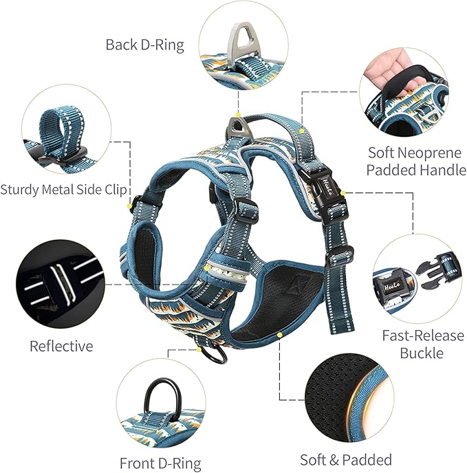 HEELE Dog Harness, No Pull Adjustable Padded Reflective Harness for Small Medium Large Dogs with Handle for Walking Training, Flower-Sunset Valley, M