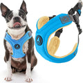 Gooby Escape Free Memory Foam Harness - Blue, Small - No Pull Step-in Dog Harness with Four Point Adjustment for Small to Medium Dogs